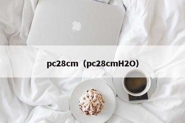 pc28cm（pc28cmH2O）-第1张图片-pc28