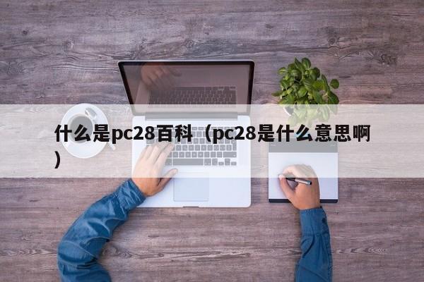 什么是pc28百科（pc28是什么意思啊）-第1张图片-pc28