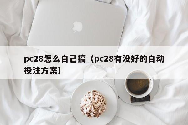 pc28怎么自己搞（pc28有没好的自动投注方案）-第1张图片-pc28