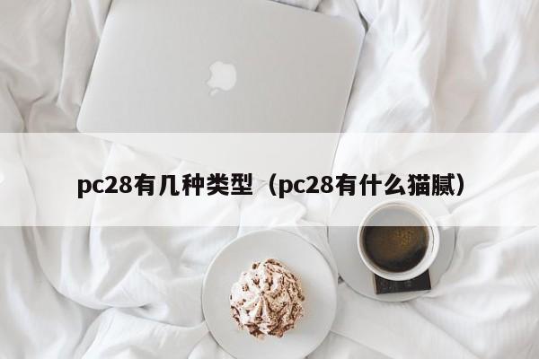 pc28有几种类型（pc28有什么猫腻）-第1张图片-pc28