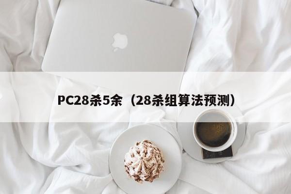 PC28杀5余（28杀组算法预测）-第1张图片-pc28