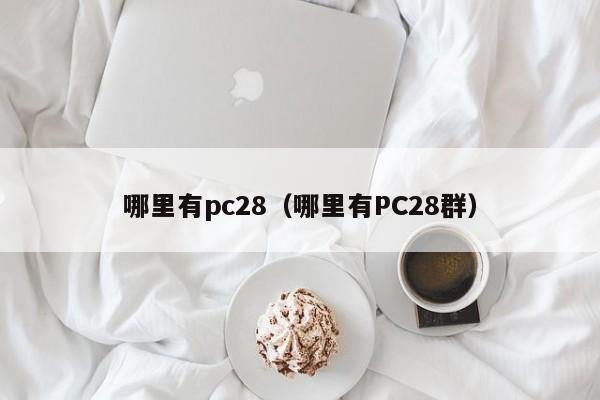 哪里有pc28（哪里有PC28群）-第1张图片-pc28