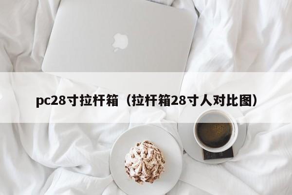 pc28寸拉杆箱（拉杆箱28寸人对比图）-第1张图片-pc28