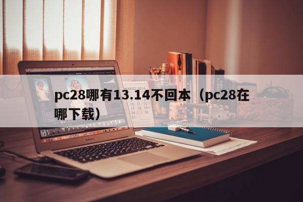 pc28哪有13.14不回本（pc28在哪下载）-第1张图片-pc28