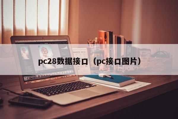 pc28数据接口（pc接口图片）-第1张图片-pc28