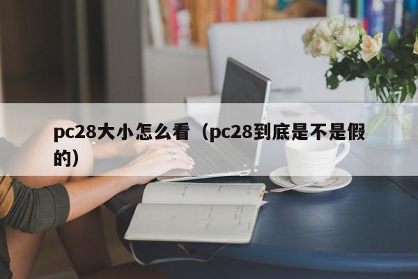 pc28大小怎么看（pc28到底是不是假的）-第1张图片-pc28