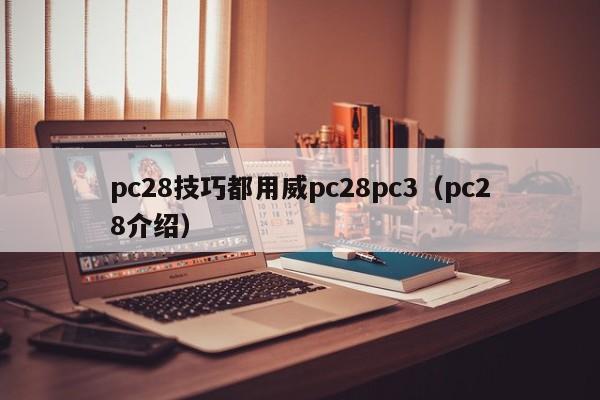 pc28技巧都用威pc28pc3（pc28介绍）-第1张图片-pc28