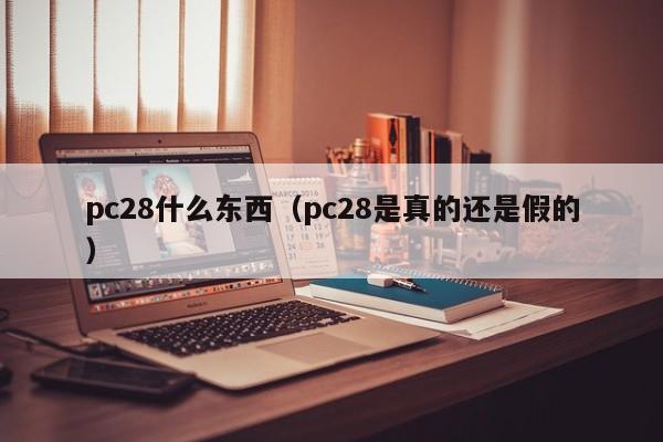 pc28什么东西（pc28是真的还是假的）-第1张图片-pc28