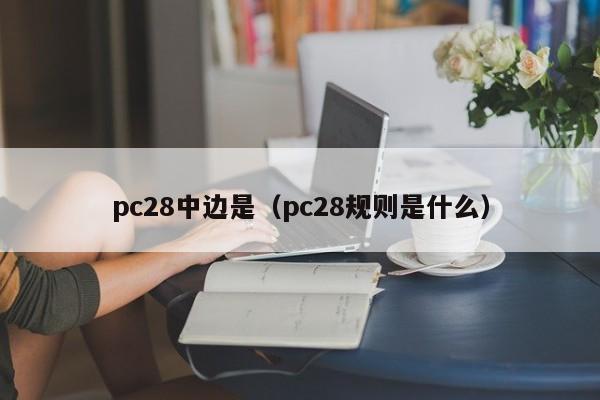 pc28中边是（pc28规则是什么）-第1张图片-pc28
