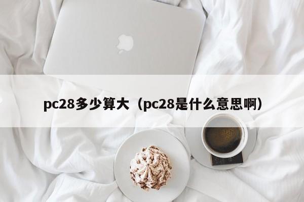 pc28多少算大（pc28是什么意思啊）-第1张图片-pc28