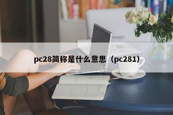 pc28简称是什么意思（pc281）-第1张图片-pc28