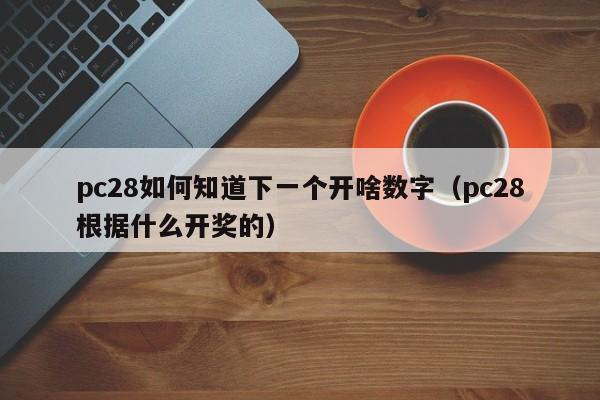 pc28如何知道下一个开啥数字（pc28根据什么开奖的）-第1张图片-pc28