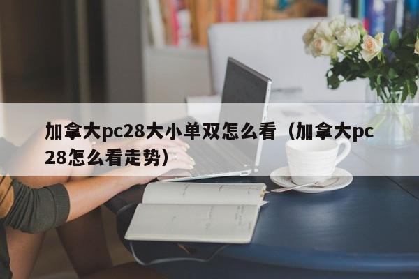 加拿大pc28大小单双怎么看（加拿大pc28怎么看走势）-第1张图片-pc28