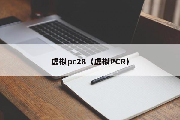 虚拟pc28（虚拟PCR）-第1张图片-pc28