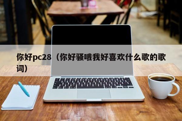 你好pc28（你好骚哦我好喜欢什么歌的歌词）-第1张图片-pc28