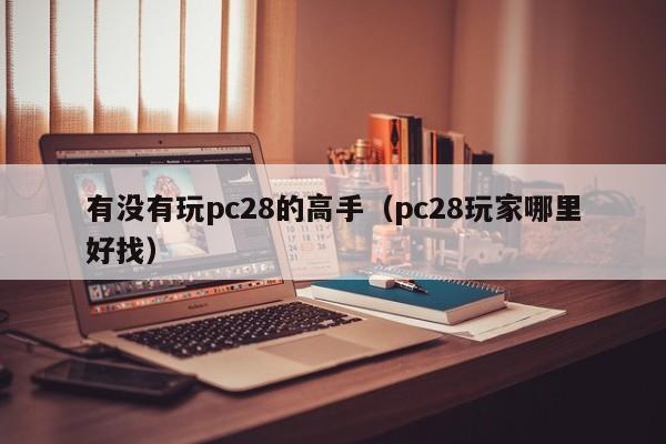 有没有玩pc28的高手（pc28玩家哪里好找）-第1张图片-pc28