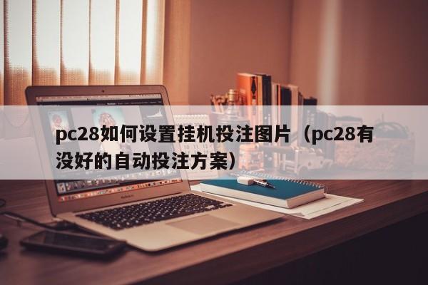 pc28如何设置挂机投注图片（pc28有没好的自动投注方案）-第1张图片-pc28