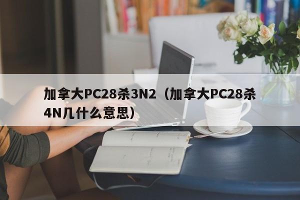 加拿大PC28杀3N2（加拿大PC28杀4N几什么意思）-第1张图片-pc28