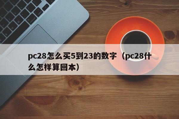 pc28怎么买5到23的数字（pc28什么怎样算回本）-第1张图片-pc28