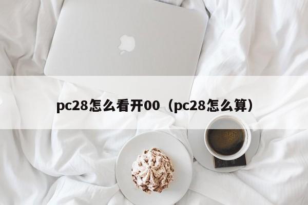 pc28怎么看开00（pc28怎么算）-第1张图片-pc28