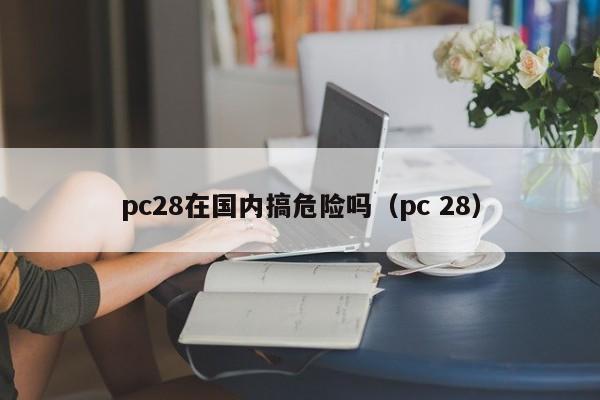 pc28在国内搞危险吗（pc 28）-第1张图片-pc28