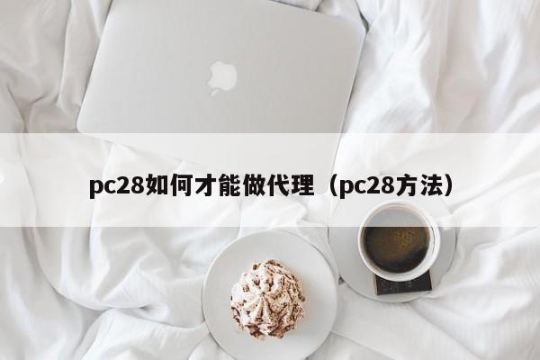 pc28如何才能做代理（pc28方法）-第1张图片-pc28