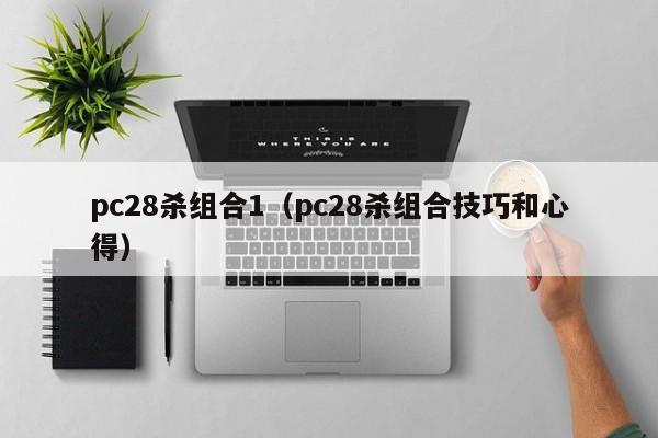 pc28杀组合1（pc28杀组合技巧和心得）-第1张图片-pc28