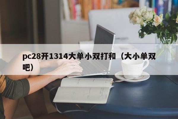 pc28开1314大单小双打和（大小单双吧）-第1张图片-pc28