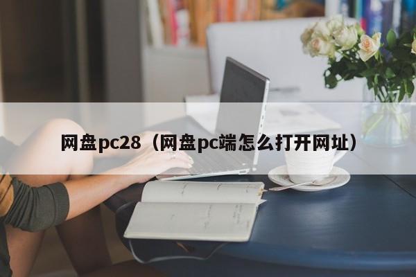 网盘pc28（网盘pc端怎么打开网址）-第1张图片-pc28