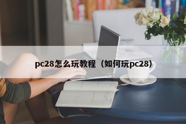 pc28怎么玩教程（如何玩pc28）-第1张图片-pc28