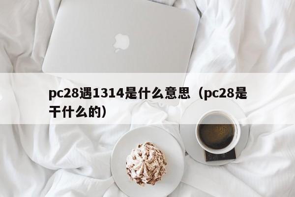 pc28遇1314是什么意思（pc28是干什么的）-第1张图片-pc28