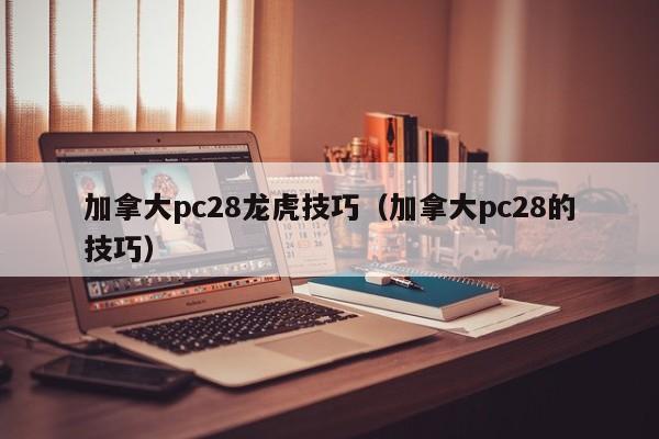 加拿大pc28龙虎技巧（加拿大pc28的技巧）-第1张图片-pc28