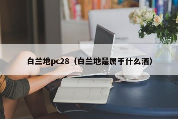 白兰地pc28（白兰地是属于什么酒）-第1张图片-pc28