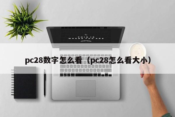 pc28数字怎么看（pc28怎么看大小）-第1张图片-pc28