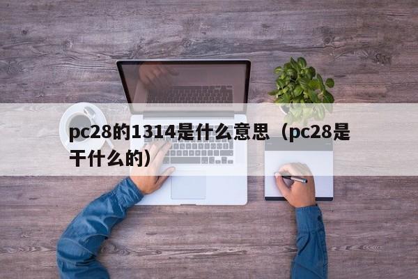 pc28的1314是什么意思（pc28是干什么的）-第1张图片-pc28