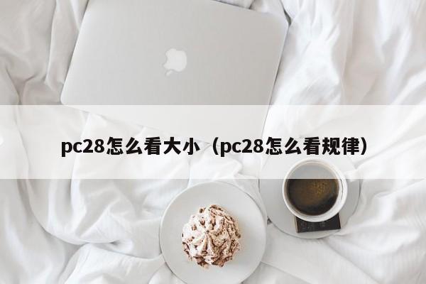 pc28怎么看大小（pc28怎么看规律）-第1张图片-pc28