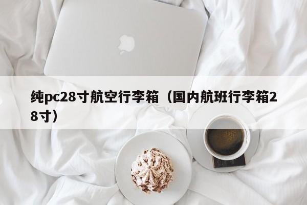 纯pc28寸航空行李箱（国内航班行李箱28寸）-第1张图片-pc28