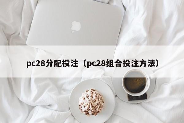 pc28分配投注（pc28组合投注方法）-第1张图片-pc28