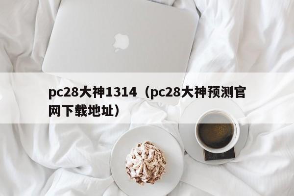 pc28大神1314（pc28大神预测官网下载地址）-第1张图片-pc28