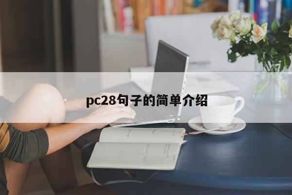 pc28句子的简单介绍-第1张图片-pc28