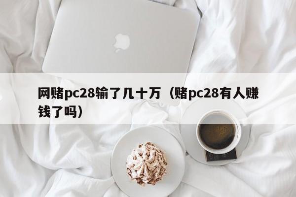 网赌pc28输了几十万（赌pc28有人赚钱了吗）-第1张图片-pc28