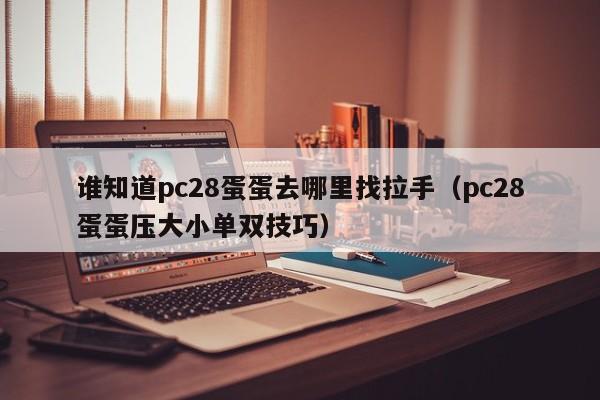 谁知道pc28蛋蛋去哪里找拉手（pc28蛋蛋压大小单双技巧）-第1张图片-pc28