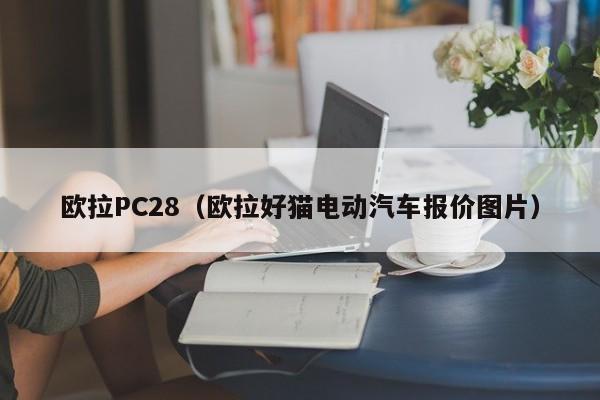 欧拉PC28（欧拉好猫电动汽车报价图片）-第1张图片-pc28