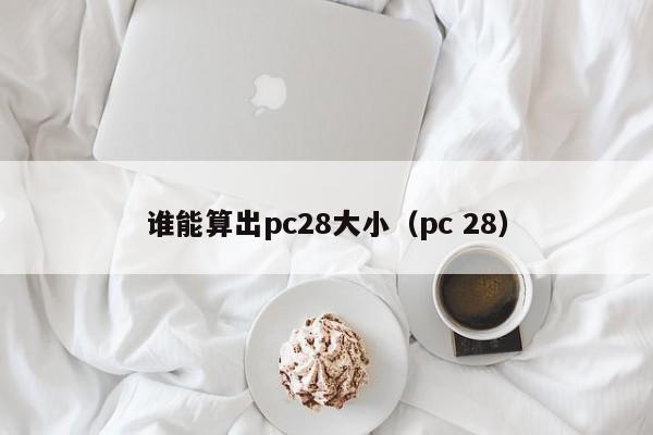 谁能算出pc28大小（pc 28）-第1张图片-pc28