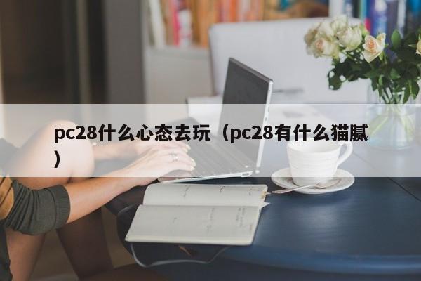 pc28什么心态去玩（pc28有什么猫腻）-第1张图片-pc28