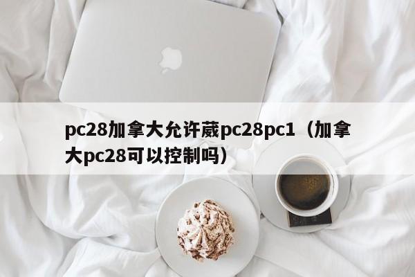 pc28加拿大允许葳pc28pc1（加拿大pc28可以控制吗）-第1张图片-pc28