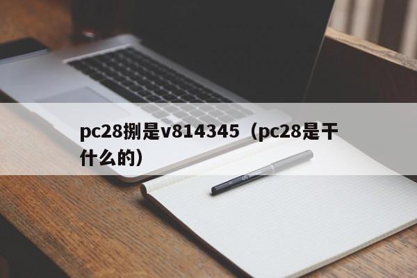 pc28捌是v814345（pc28是干什么的）-第1张图片-pc28