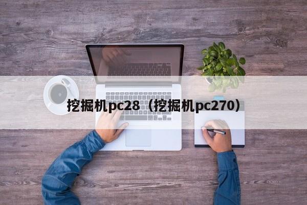 挖掘机pc28（挖掘机pc270）-第1张图片-pc28