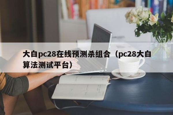 大白pc28在线预测杀组合（pc28大白算法测试平台）-第1张图片-pc28