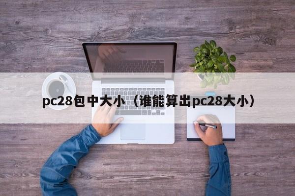 pc28包中大小（谁能算出pc28大小）-第1张图片-pc28